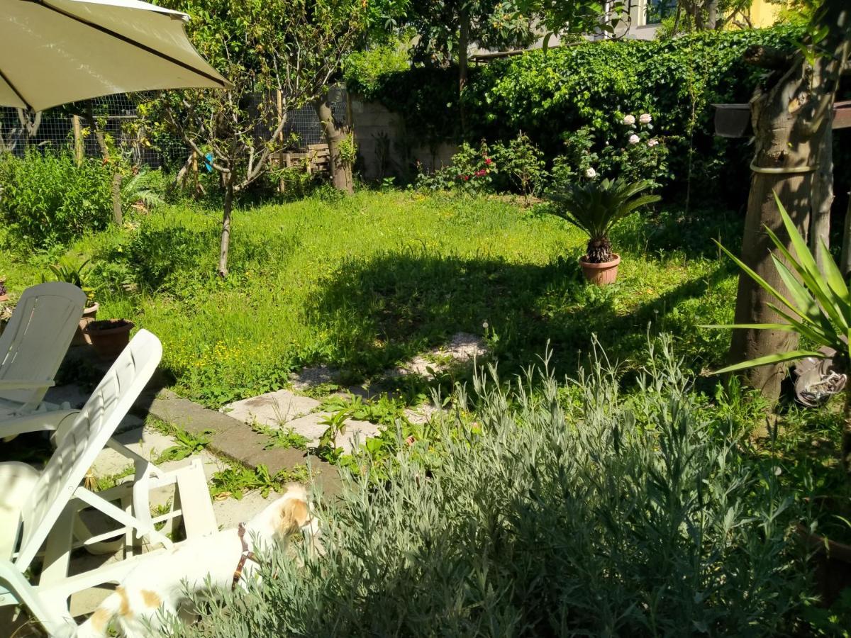 Bed and Breakfast Villino L'Aranceto Sorrentino Meta Exteriér fotografie