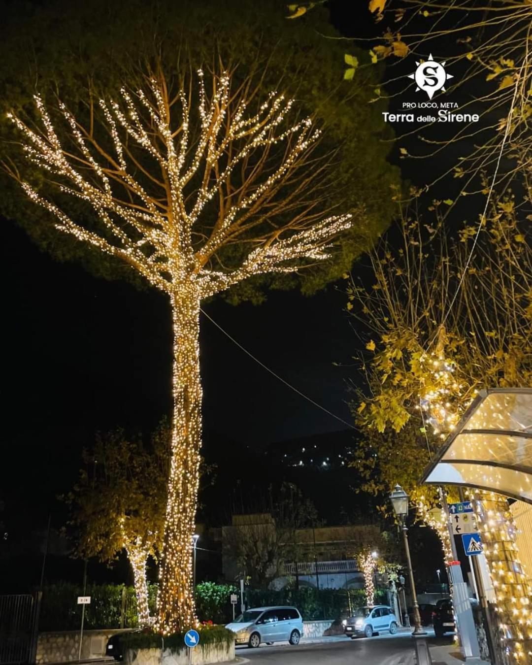 Bed and Breakfast Villino L'Aranceto Sorrentino Meta Exteriér fotografie