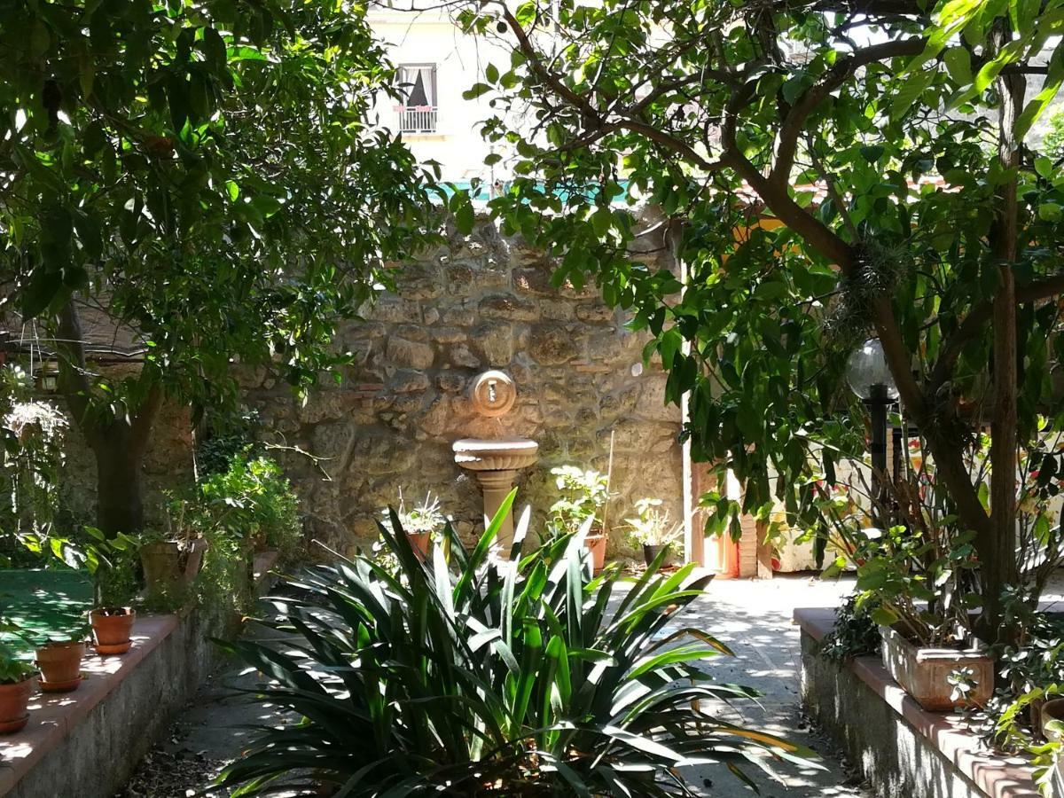 Bed and Breakfast Villino L'Aranceto Sorrentino Meta Exteriér fotografie