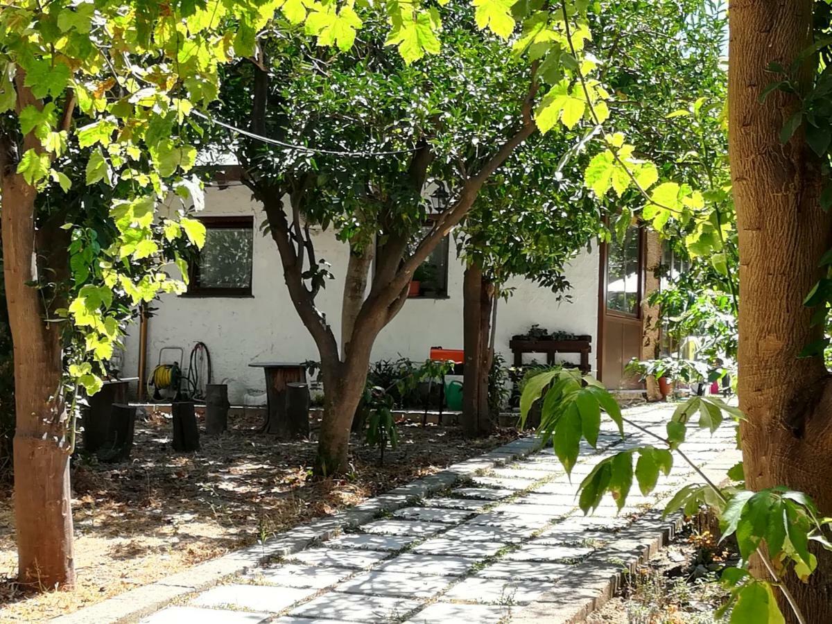 Bed and Breakfast Villino L'Aranceto Sorrentino Meta Exteriér fotografie