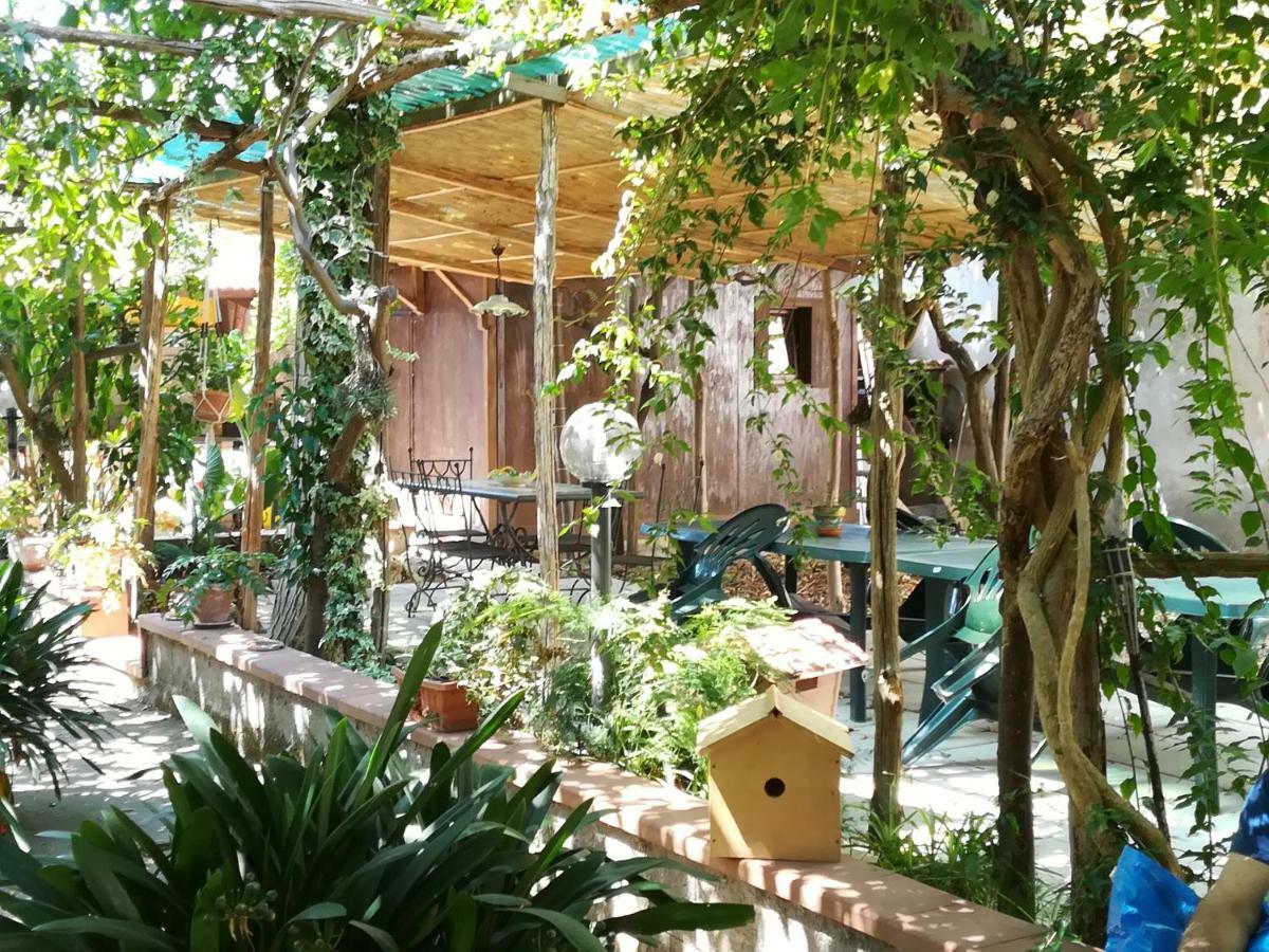 Bed and Breakfast Villino L'Aranceto Sorrentino Meta Exteriér fotografie
