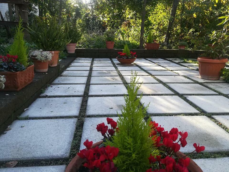 Bed and Breakfast Villino L'Aranceto Sorrentino Meta Exteriér fotografie